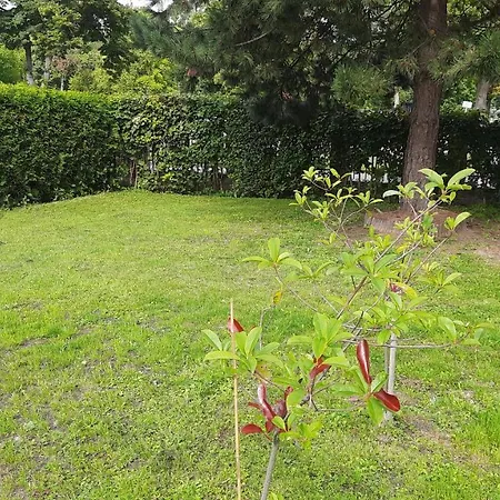 The Old House Lejlighed *