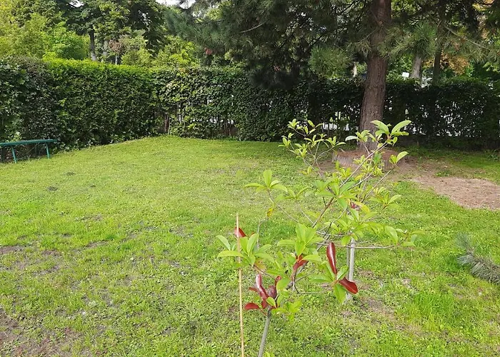 The Old House 아파트 *