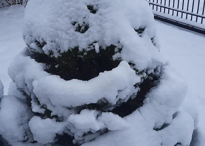 아파트 The Old House *